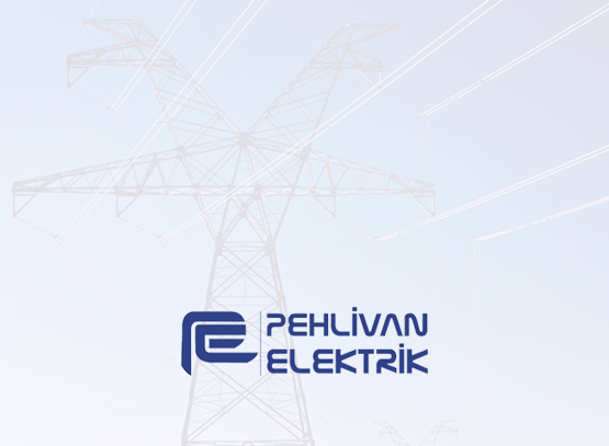 Pehlivan Elektrik Logo / JPG